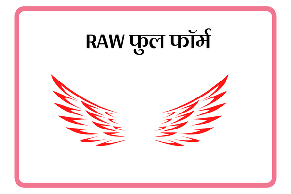 RAW RAW Full Form In Marathi Full Form In Marathi